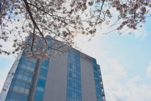 薬剤師　募集！